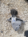 Renault megan 4 motor kulağı