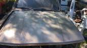ford tanus on kaput