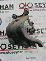 Toyota corolla 2008 abs beyni tutucu