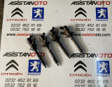 Citroen enjektör 0445110239 takım asistan oto