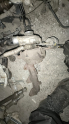 HYUNDAİ İ30 - KIA CEED TURBO EGZOZ MANİFOLD - ALKO OTO