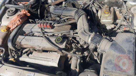 türkiye ticaret sicil gazetesi aşk sevgi ve sexs