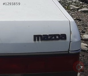 yağlı güreş izle