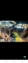 ŞAHİNOĞLU 96 FORD MUSTANG 4.6 CABRİO SAĞ ÖN KOLTUK