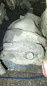 A1243513708 Mercedes w203  3.46 arka defransiyel