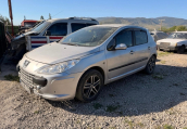 Peugeot 307 sol ön kapı gri renk