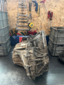 Oto Çıkma Parça / Renault / Master / Şanzıman & Vites / Şanzıman Komple / Çıkma Parça 
