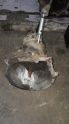 Bmw e36  3.18  Bmw e46  3.25   1.6 manuel sanzıman  oem 1221845.9