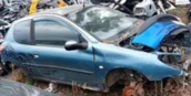 Peugeot 206 bsm beyni