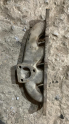 1.8 AUDİ A3 EGSOZ MANİFOLDU