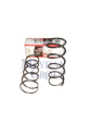 Citroen Xsara Picasso Ön Helezon Yayı Sağ/Sol 2Li Set 1 6I/1 6Hdı