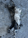 RENAULT MEGANE 4 MOTOR TRAVESİ HATASIZ
