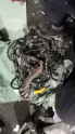 Oto Çıkma Parça / Fiat / Siena / Motor / Motor Tesisatı / Çıkma Parça 