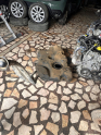 Renault Clio Symbol Joy Sandero 1.5 Dci Yakıt Mazot Deposu