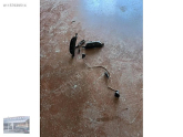 OPEL ASTRA G TEYP KONTROL DÜGMESİ ÇIKMA