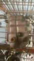 Audi A6 yedek su bidonu