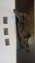 AUDİ A4 SOL FAR ALT BRAKETİ