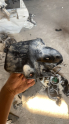 3V5853833 skoda rapid tutucu braketi
