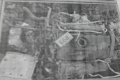 VOLKSWAGEN BKD MANUEL KOMPLE MOTOR