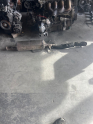 Peugeot 301 1.6 Euro 6 katalizör eksoz