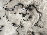 FİAT SCUDO 1.5 MOTOR TESİSATI MANUEL OTO FEDAİ
