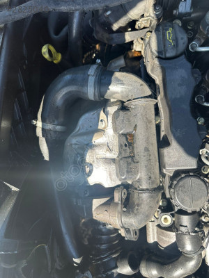 2005-2011 focus katalizör