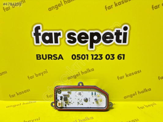 TAİLANT FAR BEYNİ (ORJİNAL)